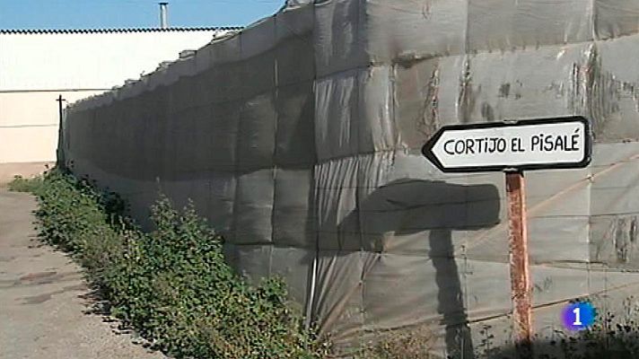 Telediario 1 - Encuentran en Almería el cadáver de una mujer con un golpe en cabeza y a su expareja ahorcada