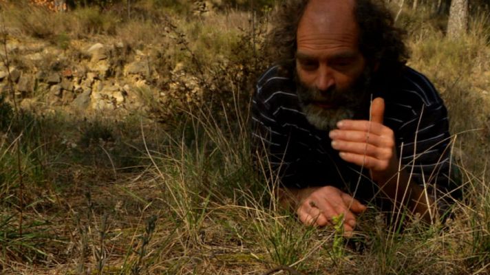 Aquí la Tierra - Plantas extraordinarias