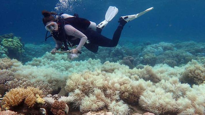 La 2 Noticias - La 2 Noticias - 10/04/17