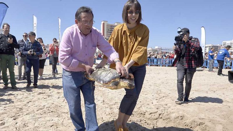 L'Informatiu - Comunitat Valenciana - 11/04/17 - ver ahora