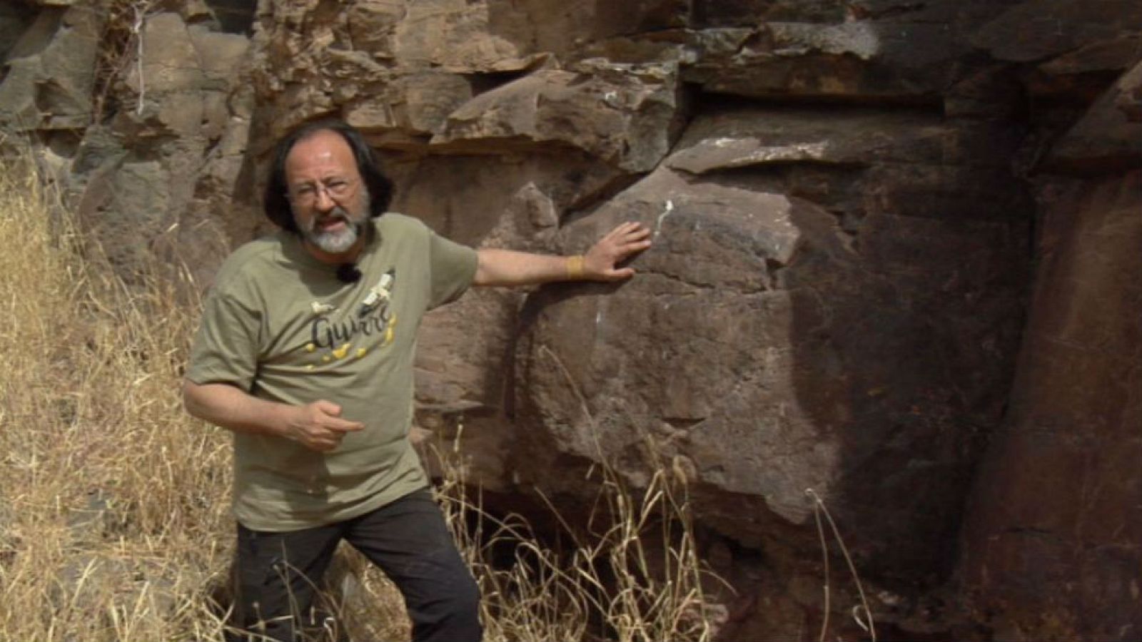 Guirre, tesoro alado