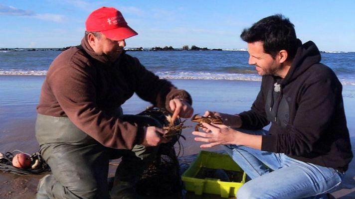 Aquí la Tierra - Nécoras y otras delicias del mar