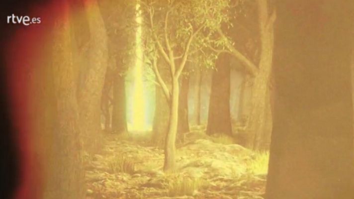 Palabra Voyeur - Palabra Voyeur - Sexus. Henry Miller