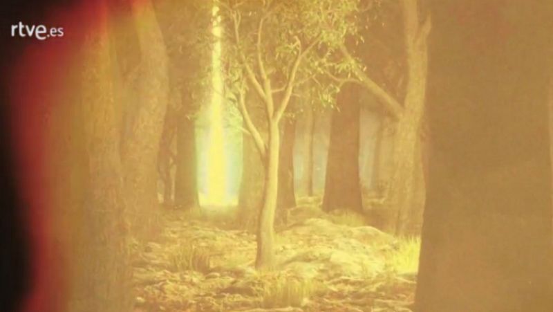 Palabra Voyeur - Sexus. Henry Miller - 12/04/17