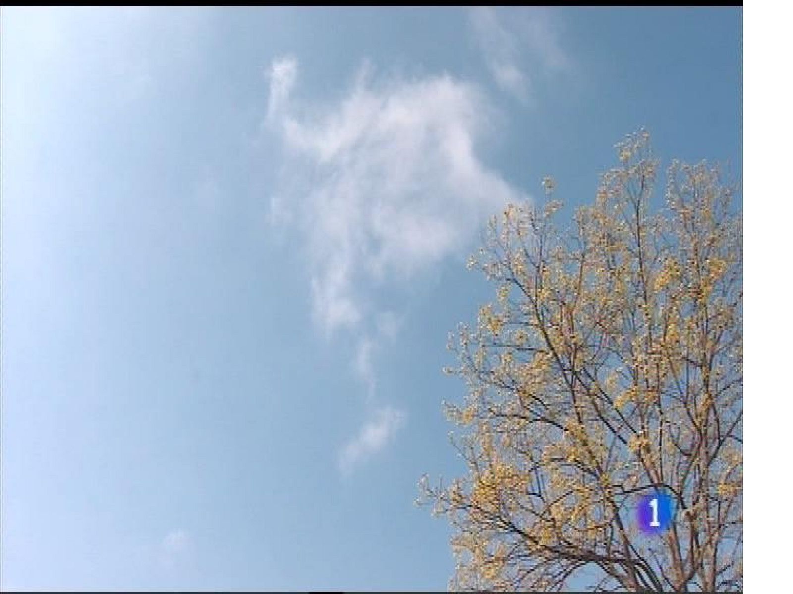 El tiempo en Asturias - 12/04/17 | Ver