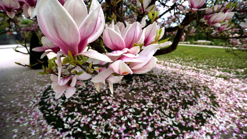 Tiempo estable con sol y temperaturas altas en todo el país