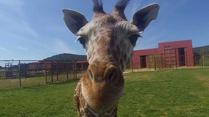 Aquí la Tierra - Aquí la Tierra - 13/04/17