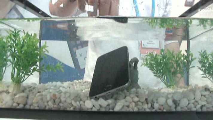 Zoom net - Mobile World Congress, 4 Years From Now y Lego Worlds