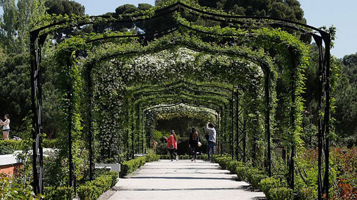 Informativo de Madrid - El Tiempo en la Comunidad de Madrid - 17/04/2017
