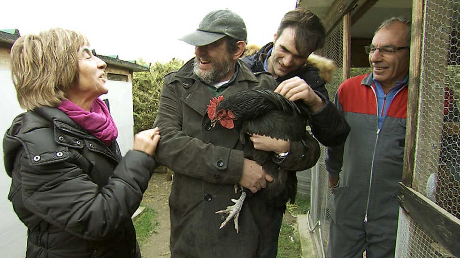 SOS Alimentos (Karra al rescate) - ver ahora