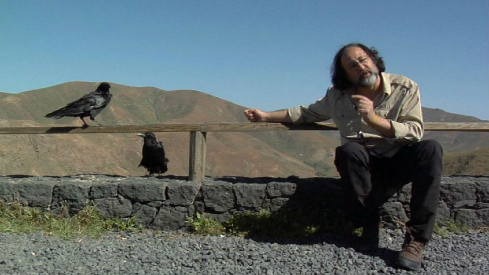 Luismi y el cuervo canario