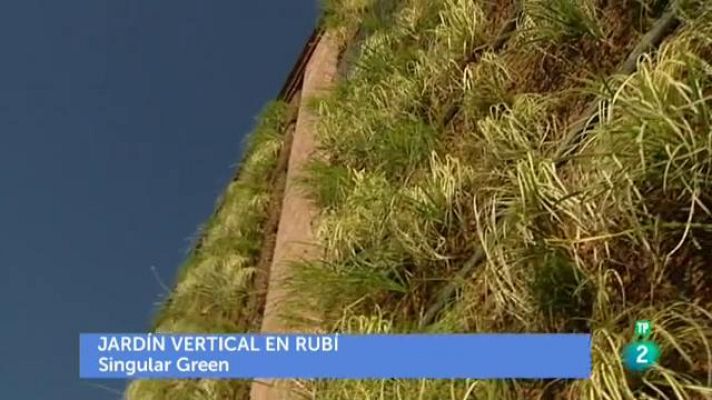 RTVE Cocina - Bacalao al vapor con mahonesa de naranja y algas salteadas