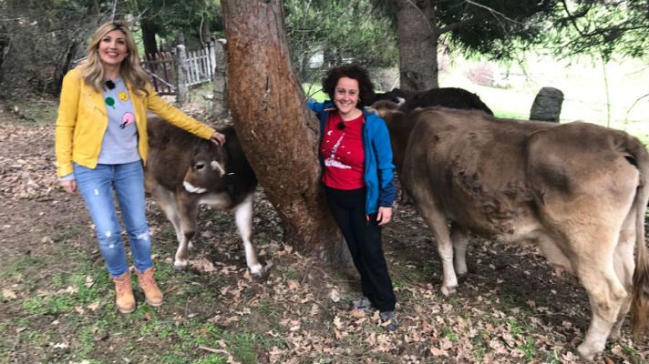 Aquí la Tierra - Vacas con acento brasileño