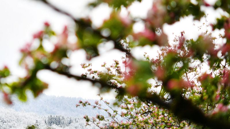 El viento y el oleaje fuerte tendrán en riesgo a las  costas del noroeste, de Andalucía, Murcia y Baleares
