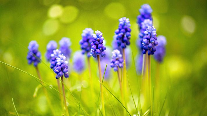 Informativo de Madrid - El Tiempo en la Comunidad de Madrid - 20/04/2017