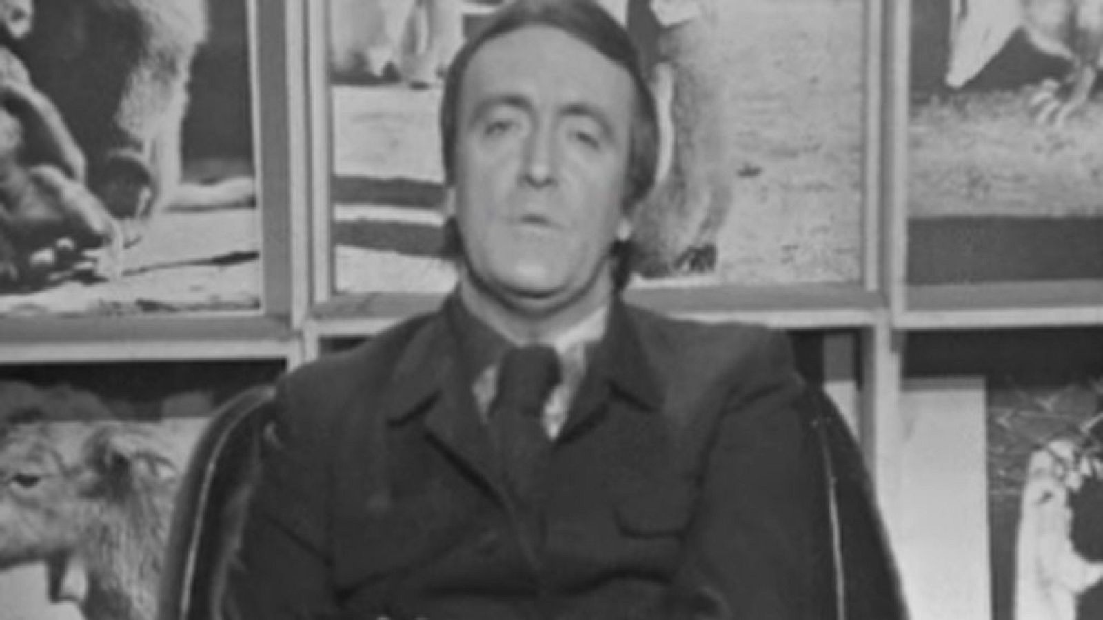 El planeta azul - La armonía de la vida