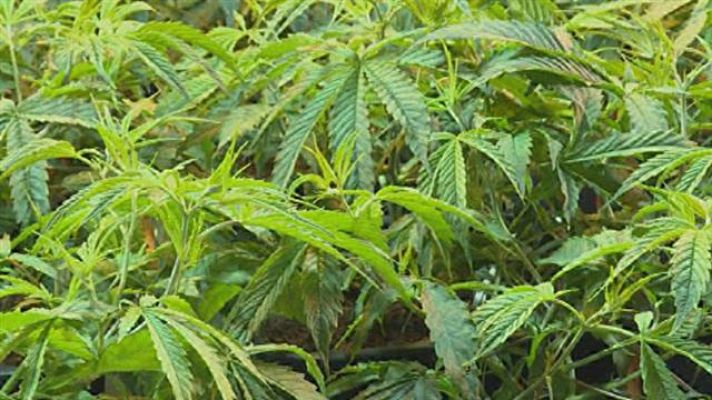 Telecanarias - Canarias en 2' - 20/04/2017