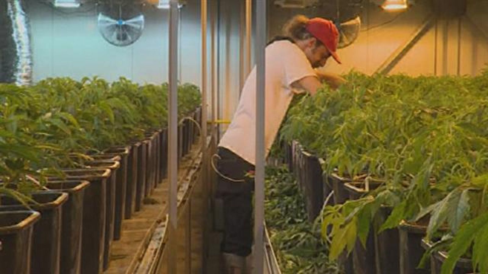 Telecanarias - 20/04/2017