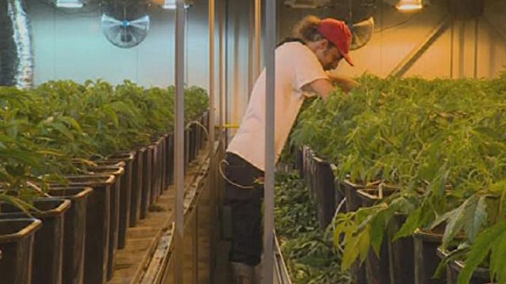 Telecanarias - Telecanarias - 20/04/2017