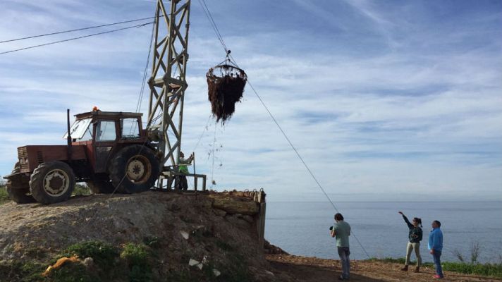 Aquí la Tierra - Algas a tutiplén