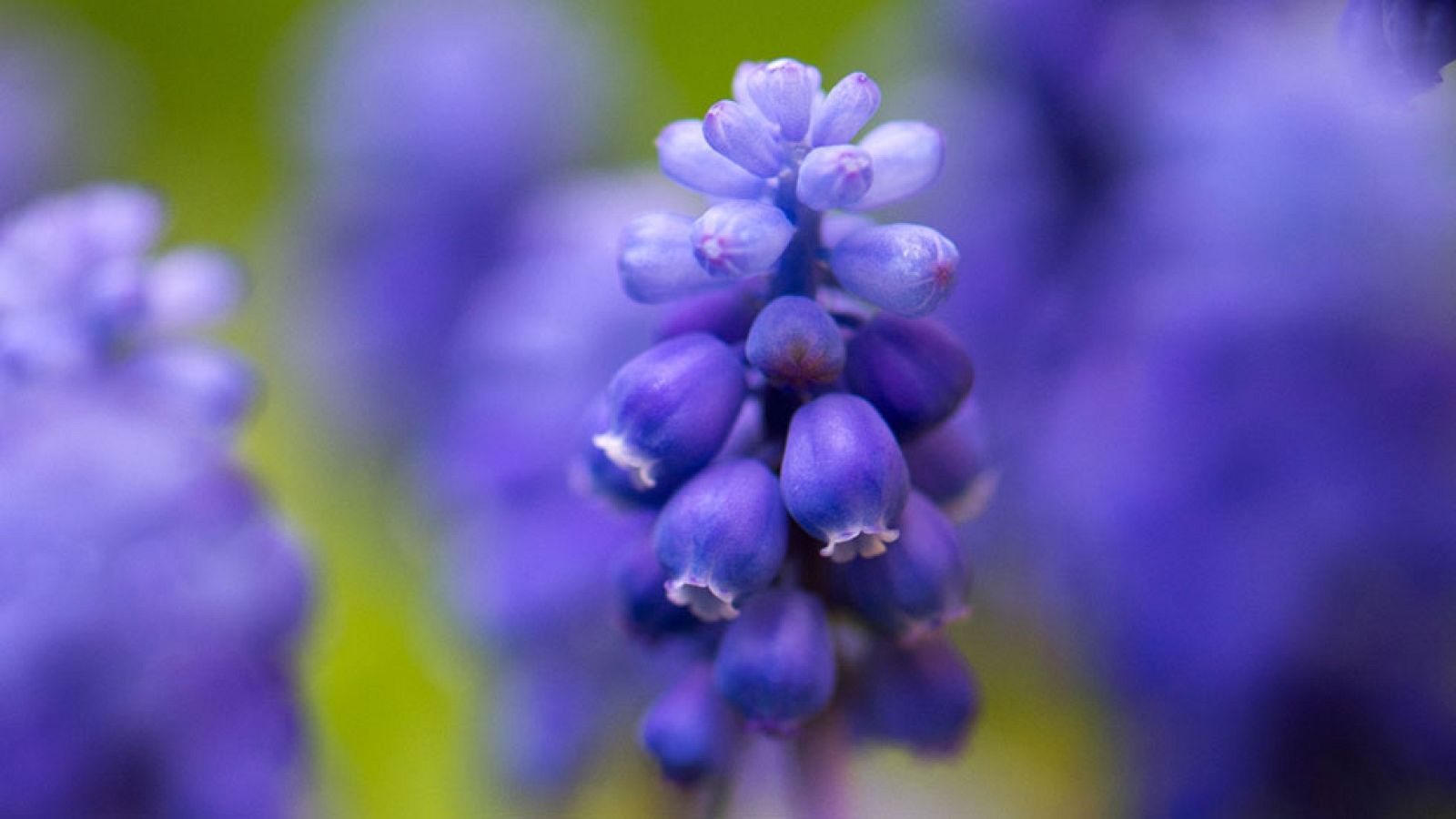 El temporal de levante sigue con olas de hasta seis metros en el sur