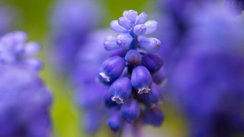El temporal de levante sigue con olas de hasta seis metros en el sur