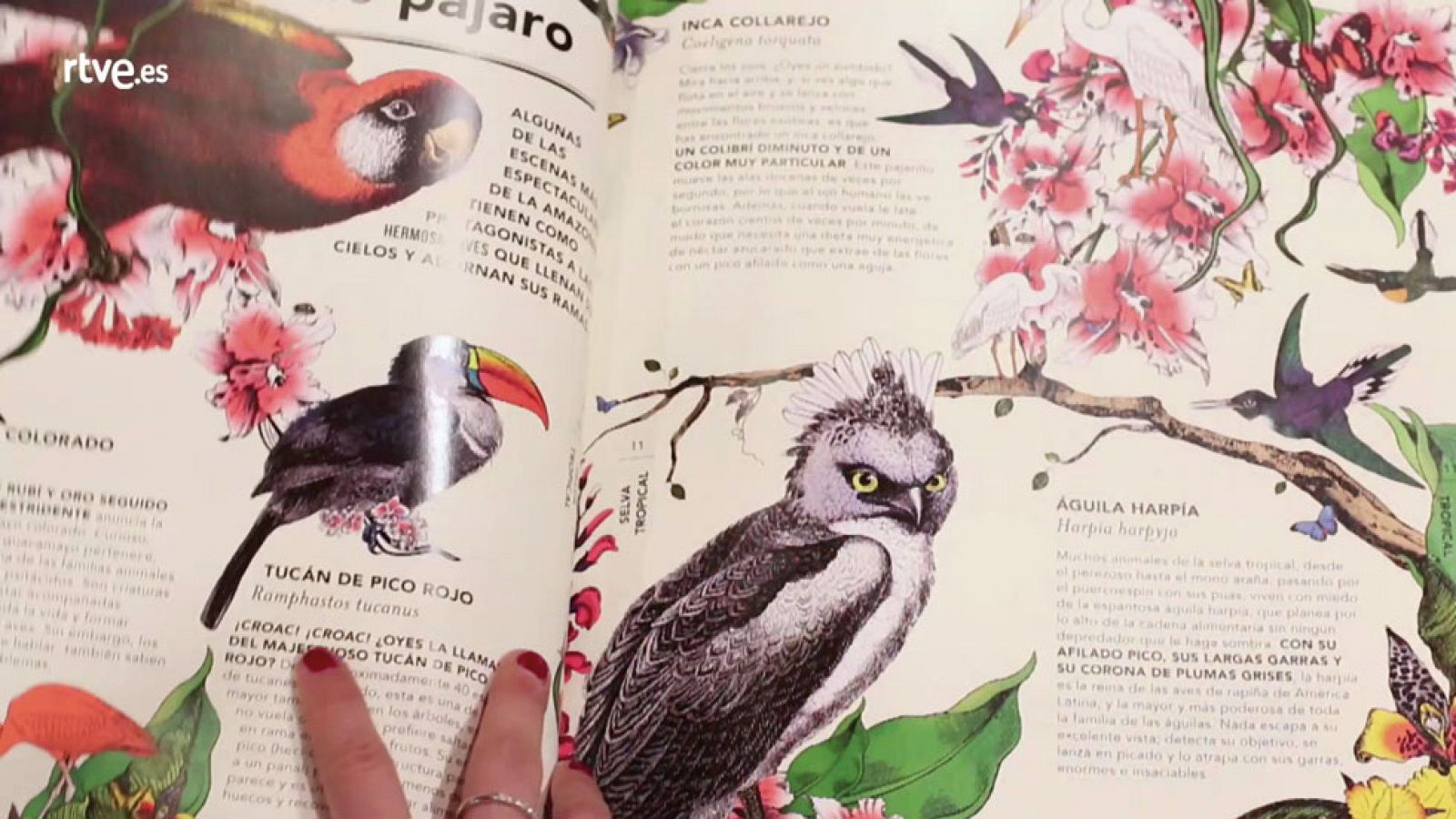 Recomendaciones de Literatura Infantil 3 - El mes de... | Ver