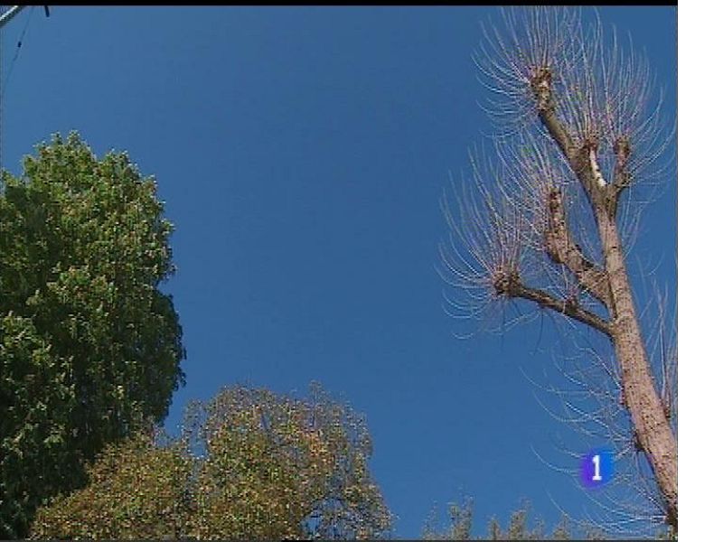 El tiempo en Asturias - 21/04/17 | Ver