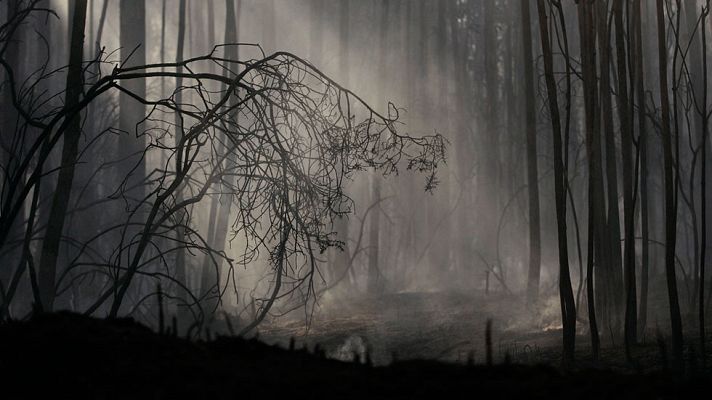 Telediario 1 - 2.000 hectáreas han ardido ya en el Bierzo cerca de Ponferrada