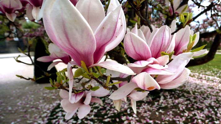 El tiempo - Termómetros al alza, con cerca de 30 grados en varias zonas de España