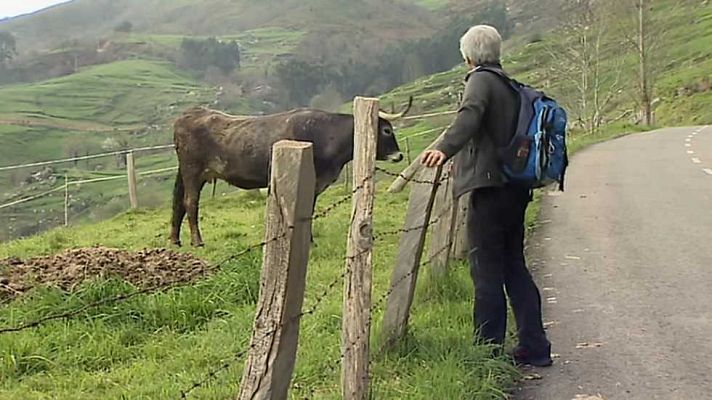 Agrosfera - Agrosfera - 22/04/17