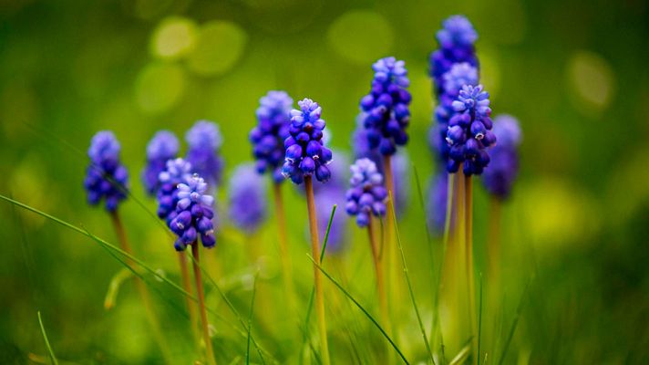 El tiempo - Nubosidad de evolución diurna en buena parte de la vertiente atlántica