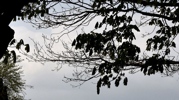 El tiempo - Temperaturas diurnas en aumento en Baleares y en buena parte de la Península
