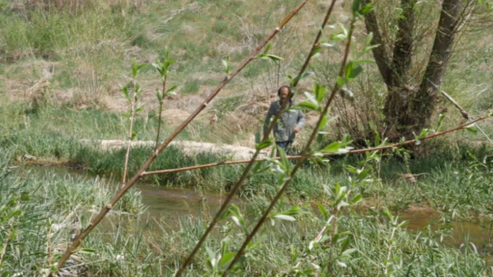 Una propuesta multisensorial