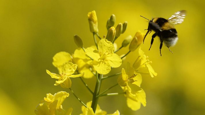 Informativo de Madrid - El Tiempo en la Comunidad de Madrid - 24/04/17