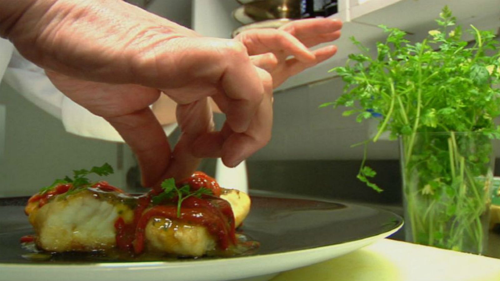 No todas las merluzas son iguales