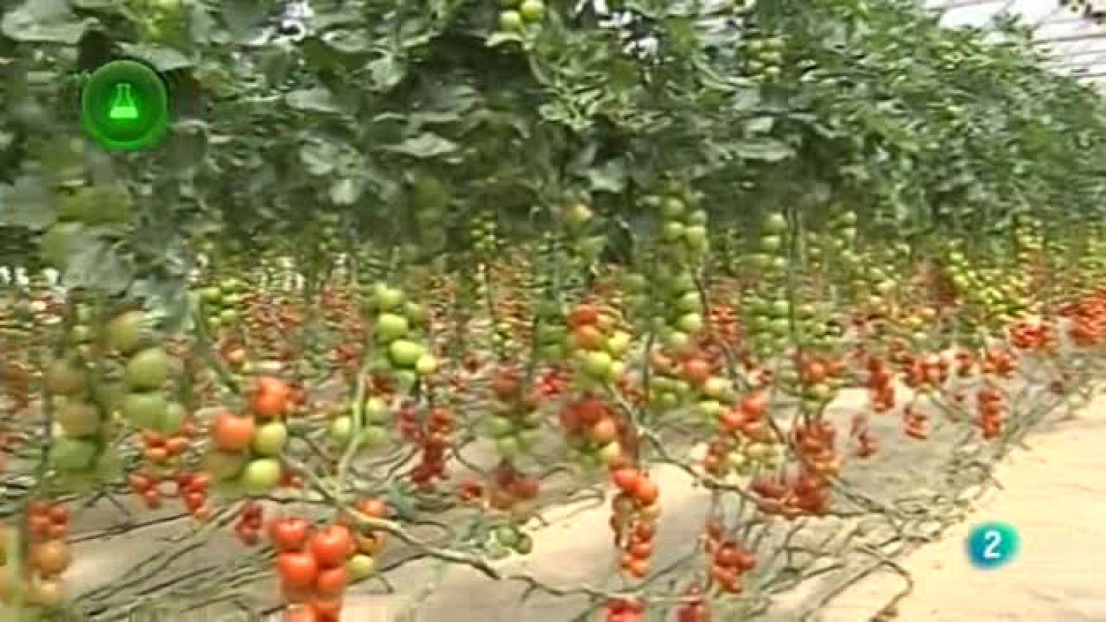 Agrosfera - Laboratorio de ideas - Innovación horticultura