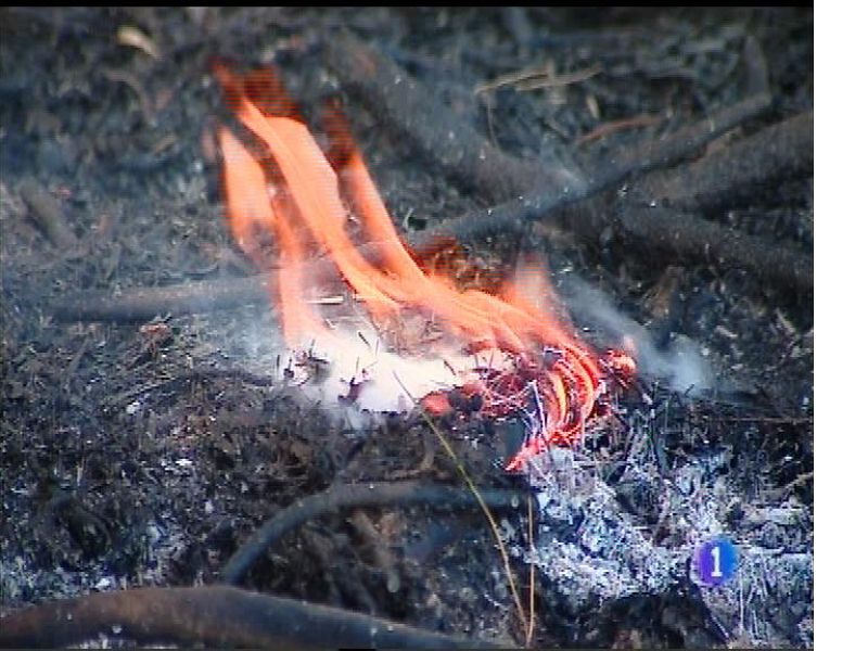 Panorama Regional 2 - 25/04/17 | Ver