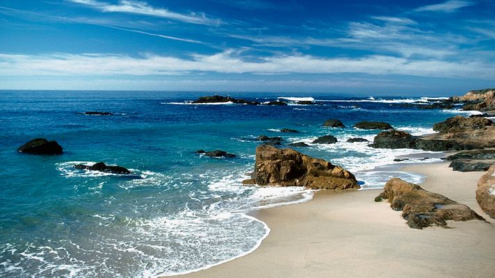 Grandes documentales - La caza: A contrarreloj