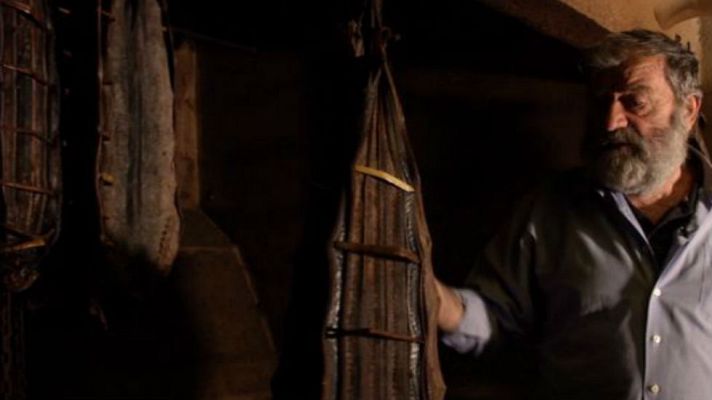 Aquí la Tierra - Lamprea, animal sin igual