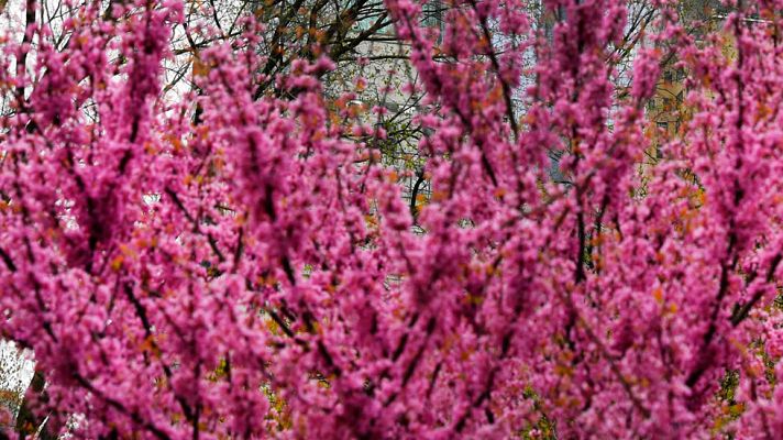 Informativo de Madrid - El Tiempo en la Comunidad de Madrid - 26/04/17