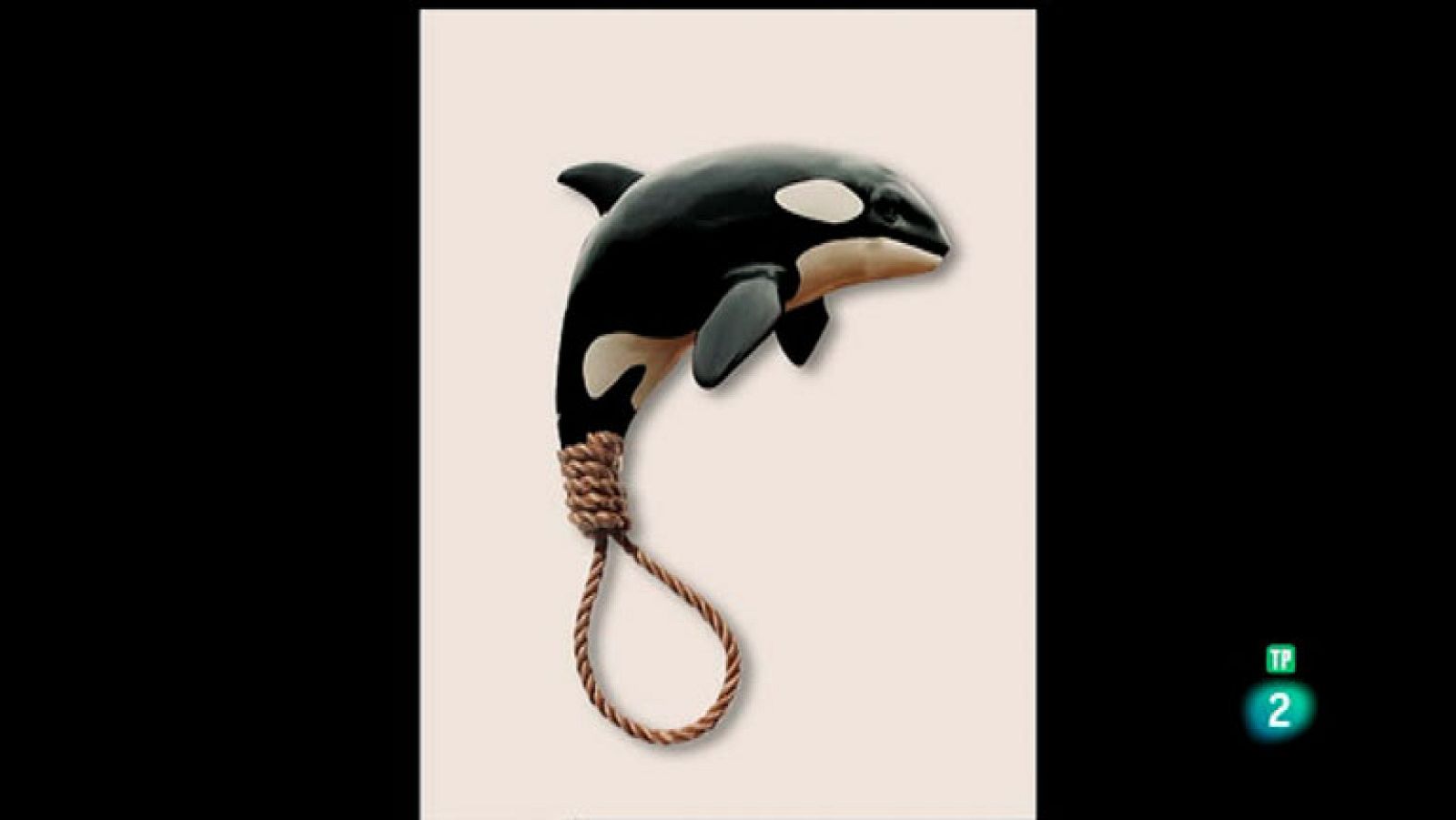 La Aventura del Saber. TVE. Serie 'Boek Visual'. Pablo García