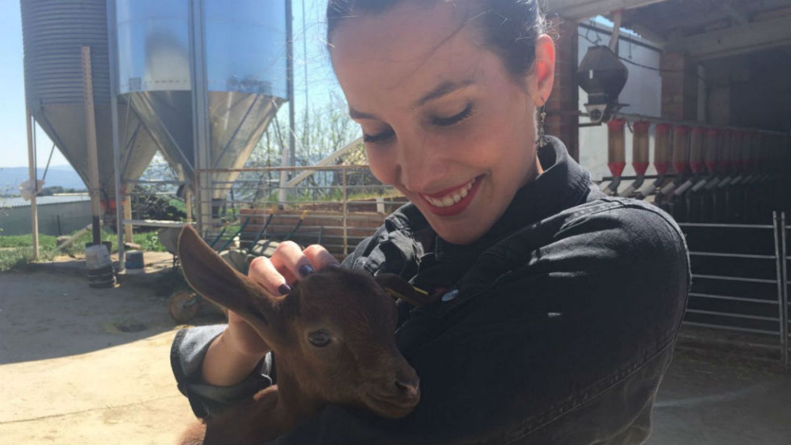 Cabras con una historia de cuento