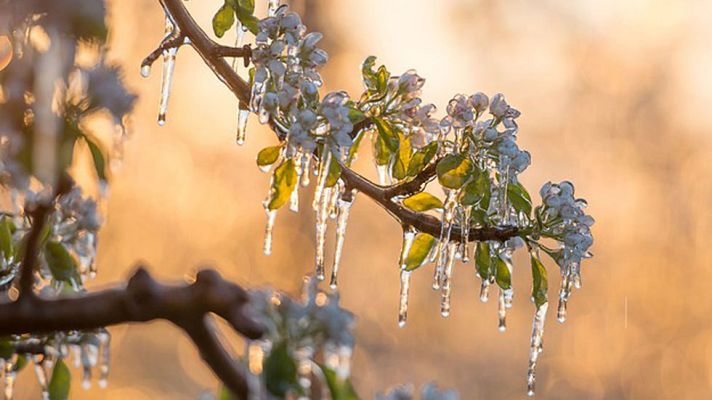 Informativo de Madrid - El Tiempo en la Comunidad de Madrid - 28/04/17