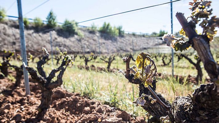 El tiempo - Lloverá al sur de la península y Canarias y subirán las temperaturas