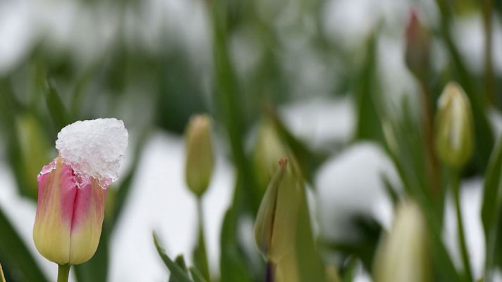 El tiempo - Crece la inestabilidad por el norte y sube la temperatura en el este