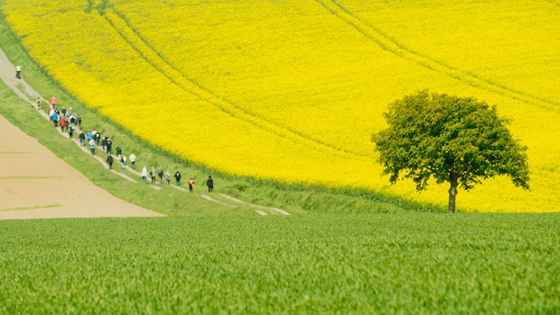 Hoy se impone el tiempo estable y que las temperaturas inicien un ascenso - El tiempo | Ver