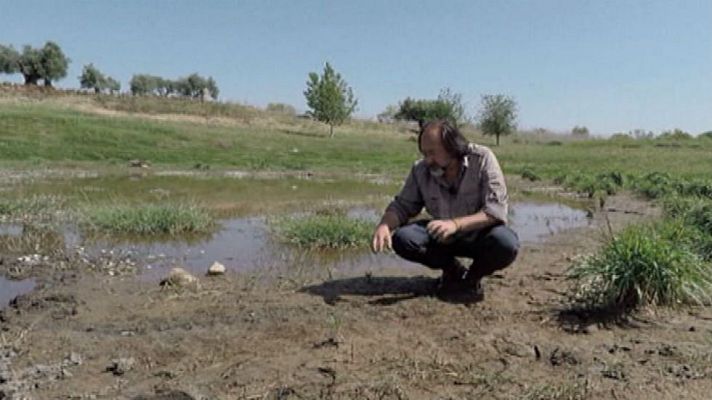 Aquí la Tierra - ¡Es un pájaro, es un avión!