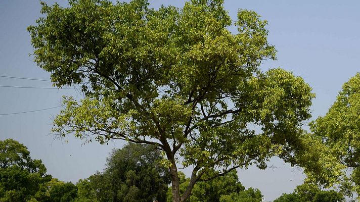 Informativo de Madrid - El Tiempo en la Comunidad de Madrid - 02/05/17