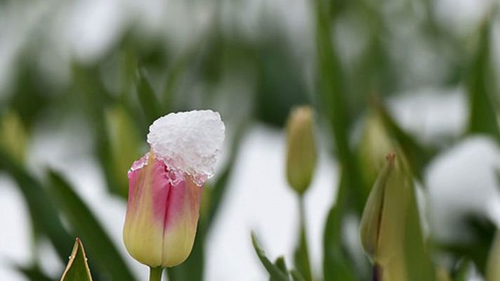 Informativo de Madrid - El Tiempo en la Comunidad de Madrid - 03/05/17